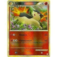 Igelavar REVERSE HOLO