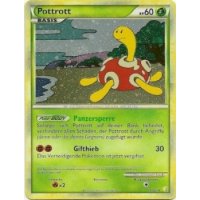 Pottrott HOLO