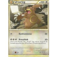 Ursaring 27/95
