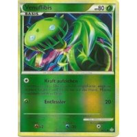 Venuflibis REVERSE HOLO