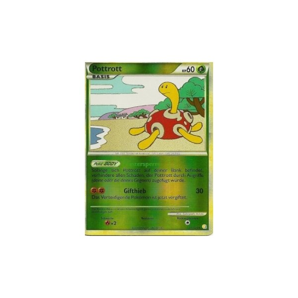 Pottrott REVERSE HOLO