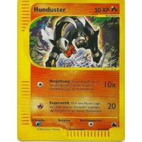 Hunduster 66/144 REVERSE HOLO