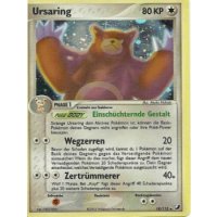Ursaring HOLO