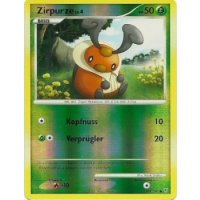 Zirpurze REVERSE HOLO