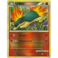 Igelavar REVERSE HOLO