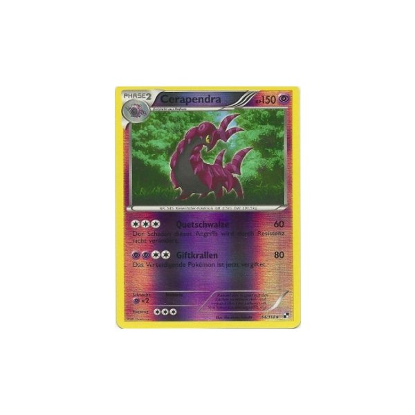 Cerapendra REVERSE HOLO