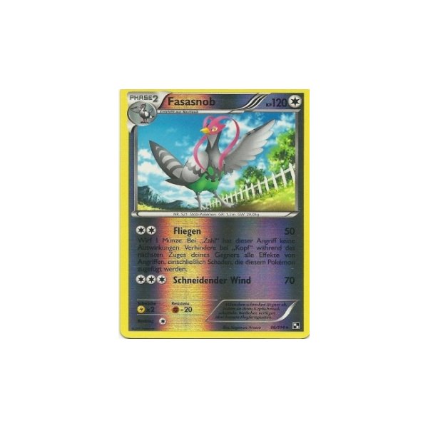 Fasasnob REVERSE HOLO