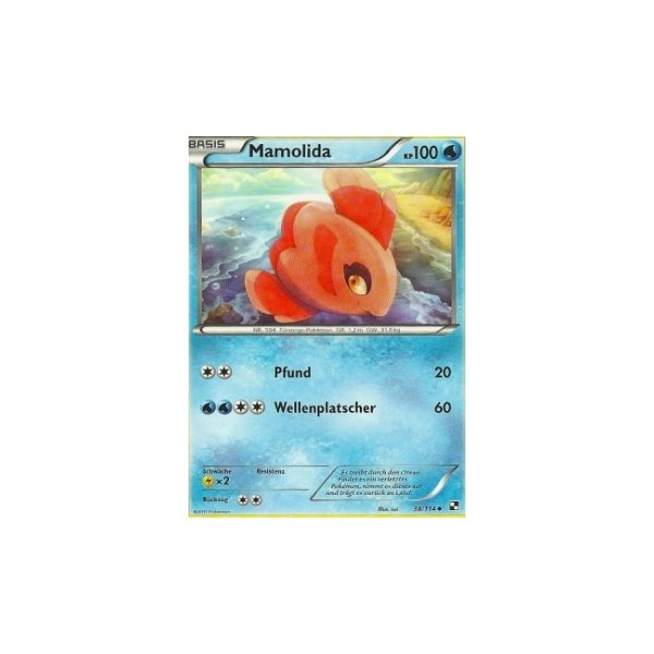 Mamolida 38/114