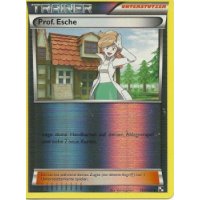 Prof. Esche REVERSE HOLO