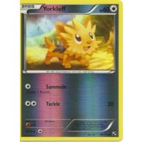 Yorkleff 81/114 REVERSE HOLO
