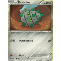 Kastadur 71/98
