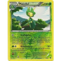 Matrifol 7/98 REVERSE HOLO