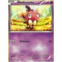 Mollimorba 44/98