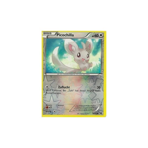 Picochilla REVERSE HOLO