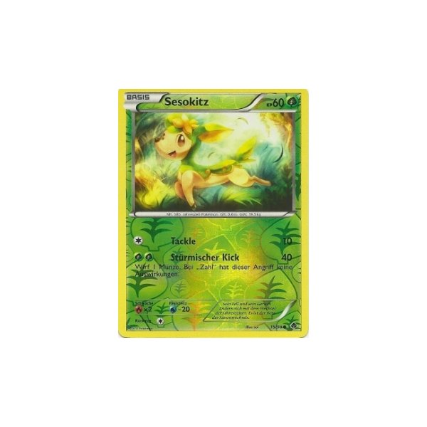 Sesokitz REVERSE HOLO