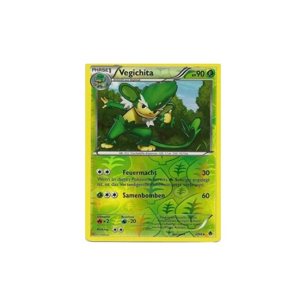 Vegichita REVERSE HOLO