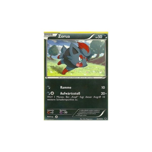Zorua