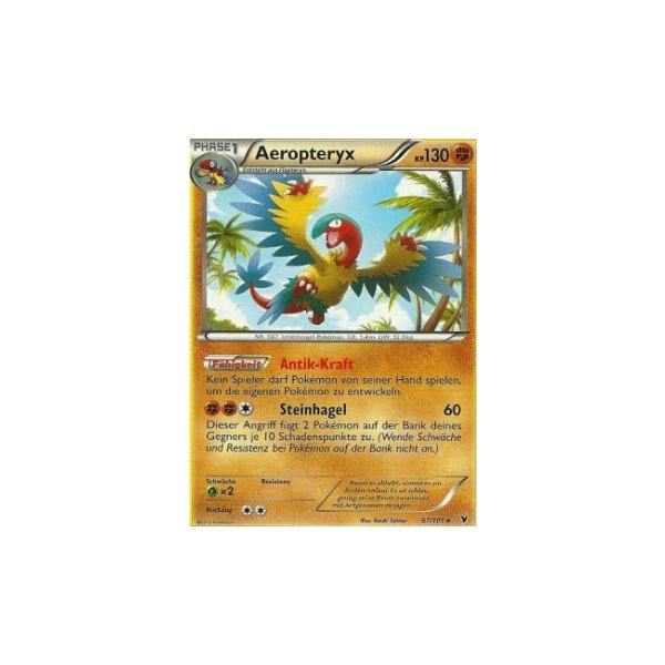 Aeropteryx 067/101