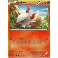 Ignivor 019/101