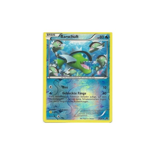 Barschuft 30/99 REVERSE HOLO