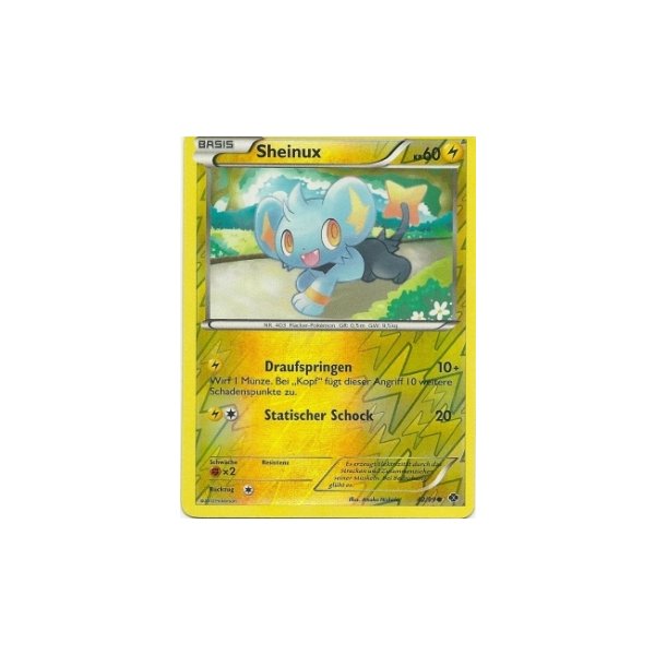 Sheinux 42/99 REVERSE HOLO