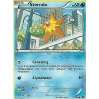 Sterndu 23/99