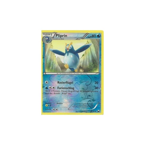 Pliprin 028/108 REVERSE HOLO