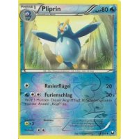 Pliprin 028/108 REVERSE HOLO