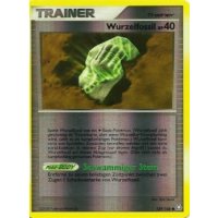 Wurzelfossil 139/146 Reverse Holo