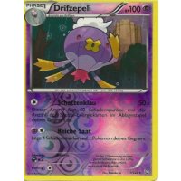 Drifzepeli 051/124 REVERSE HOLO