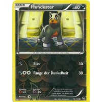 Hunduster 074/124 REVERSE HOLO