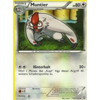 Muntier 102/124