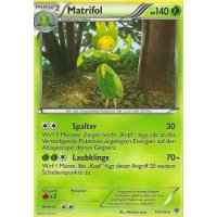Matrifol 010/135