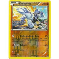 Karadonis 052/101 REVERSE HOLO