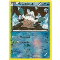Shnebedeck 025/101 REVERSE HOLO
