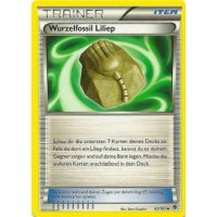 Wurzelfossil Liliep 087/101