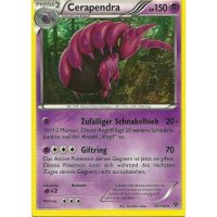 Cerapendra 053/146