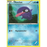 Muschas 031/146