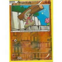 Praktibalk 065/146 REVERSE HOLO
