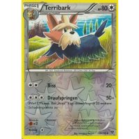 Terribark 109/146 REVERSE HOLO