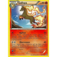 Gallopa 015/106