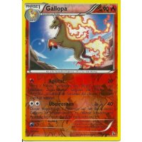 Gallopa 015/106 REVERSE HOLO
