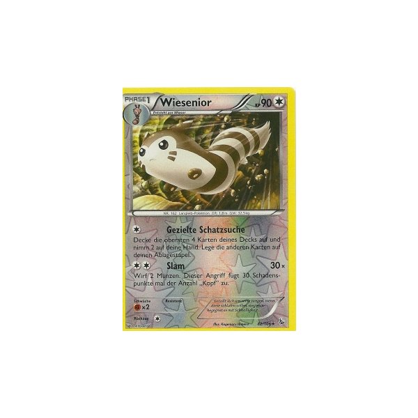 Wiesenior 082/106 REVERSE HOLO