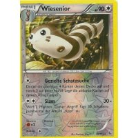 Wiesenior 082/106 REVERSE HOLO