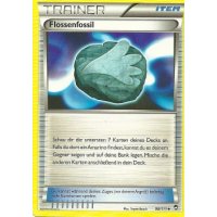 Flossenfossil 098/111