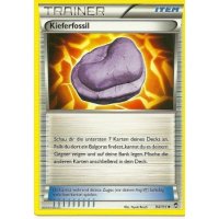 Kieferfossil 094/111