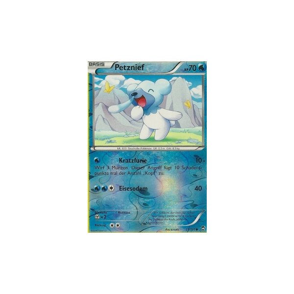 Petznief 021/111 REVERSE HOLO