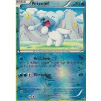 Petznief 021/111 REVERSE HOLO