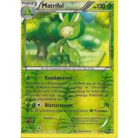 Matrifol 007/119 REVERSE HOLO