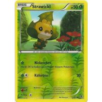 Strawickl 005/119 REVERSE HOLO